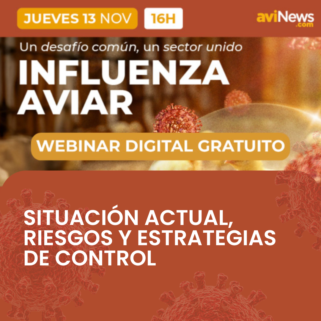 Influenza aviar 2025: Situación actual, riesgos y estrategias de control — Directo aviNews España