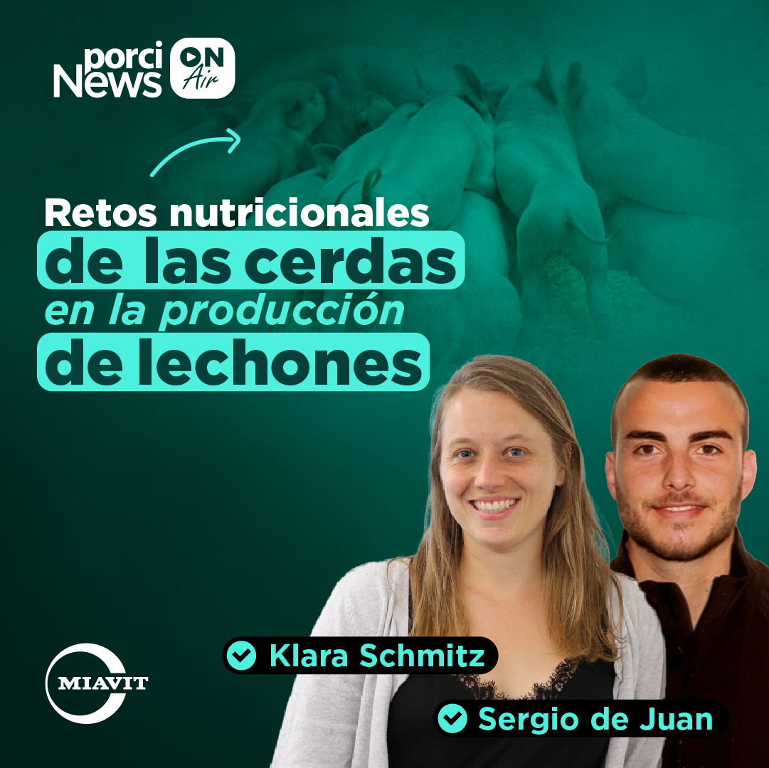 Las CERDAS y los RETOS NUTRICIONALES en la PRODUCCIÓN de LECHONES, con MIAVIT