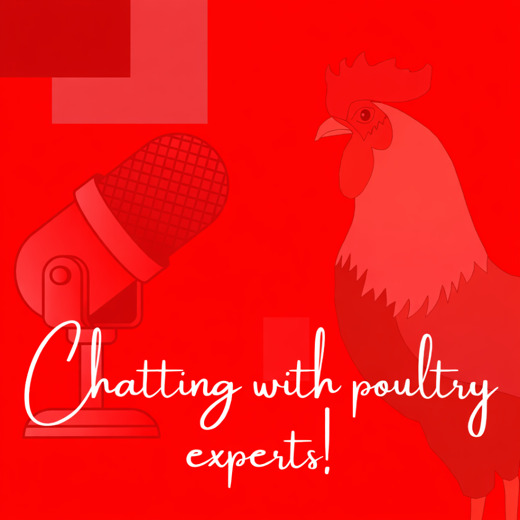 Chatting with poultry experts