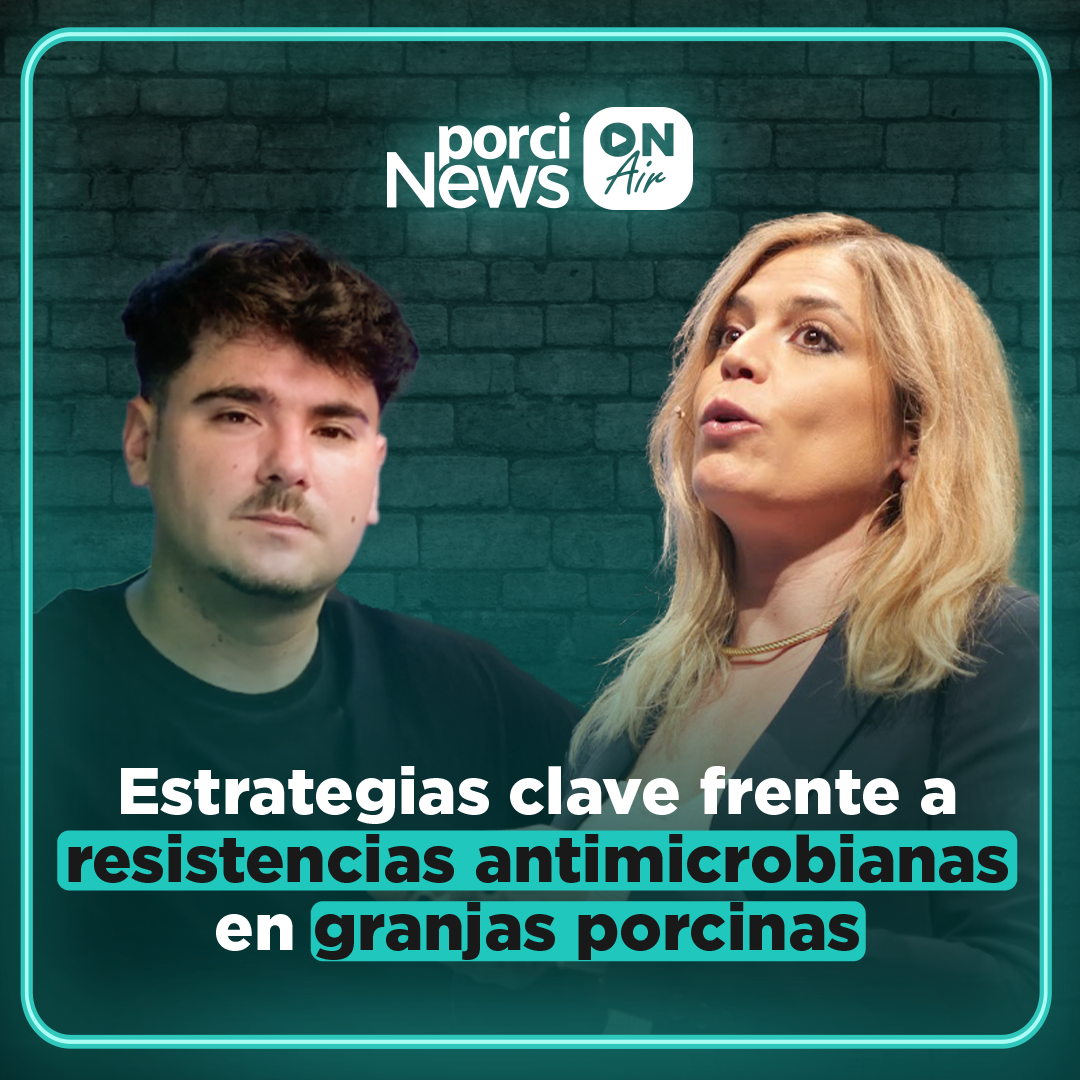 Granjas resistentes: Combatiendo microbios en porcinos, con María Jesús Serrano