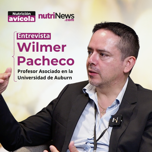 Procesos de FABRICACIÓN del ALIMENTO para CONSUMO ANIMAL, con el Dr. Wilmer Pacheco