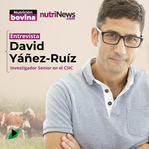 ADITIVOS en la FERMENTACIÓN RUMINAL en TERNEROS con David Yáñez-Ruiz