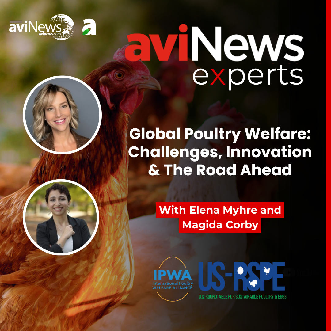Global Poultry Welfare: Challenges, Innovation & The Road Ahead