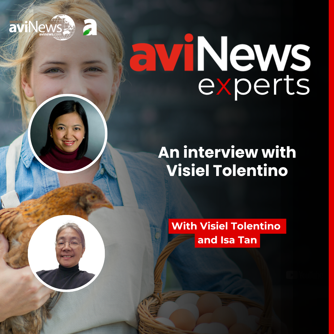 Interview with Visiel Tolentino