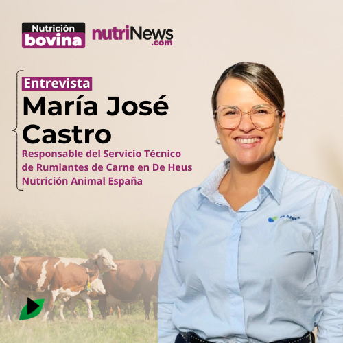 GANADERÍA EXTENSIVA, BIENESTAR y SOSTENIBILIDAD en la cría de GANADO VACUNO, con María José Castro