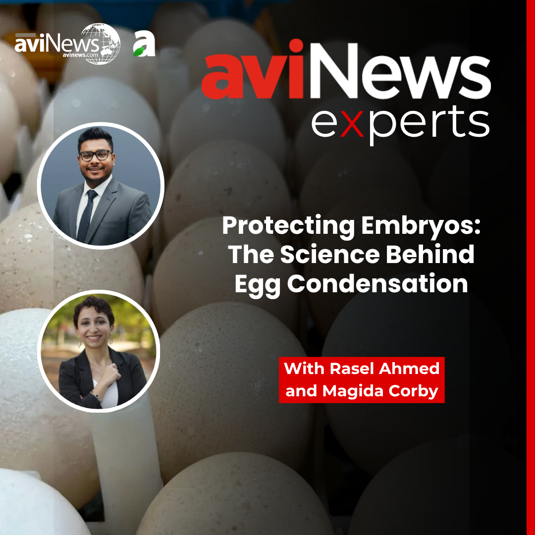 Protecting Embryos: The Science Behind Egg Condensation