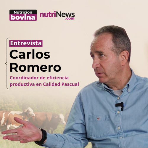 Descubre las claves para la EFICIENCIA ALIMENTICIA, con Carlos Romero