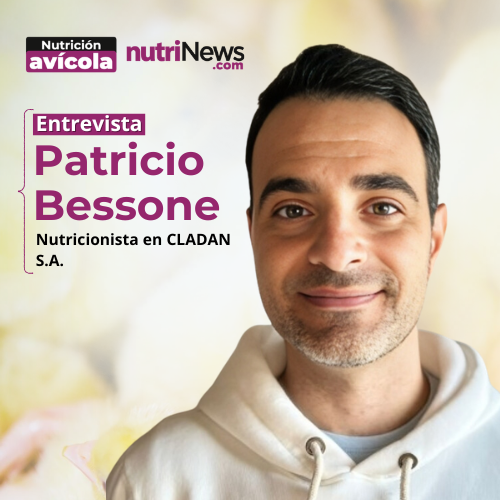 Cómo interpretar el RIESGO REAL de las MICOTOXINAS, con Patricio Bessone