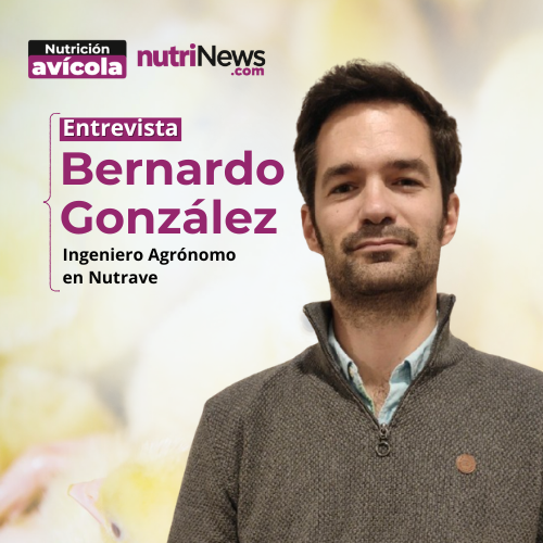 NUTRICIÓN en POLLOS de CRECIMIENTO DIFERENCIADO e inclusión de CAROTENOS, con Bernardo González Aliseda