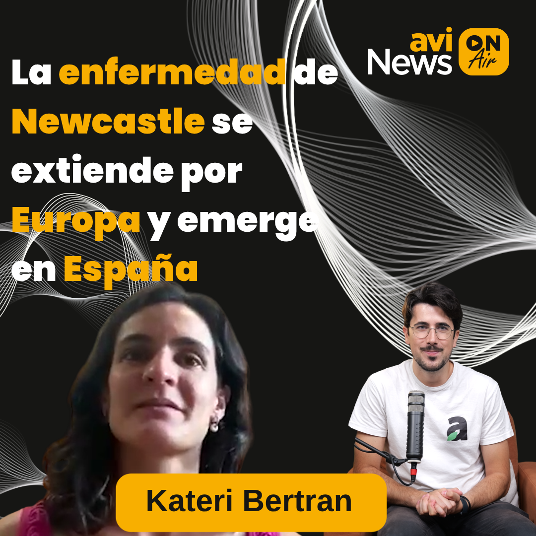 Enfermedad de Newcastle en Europa y España | Entrevista a Kateri Bertran