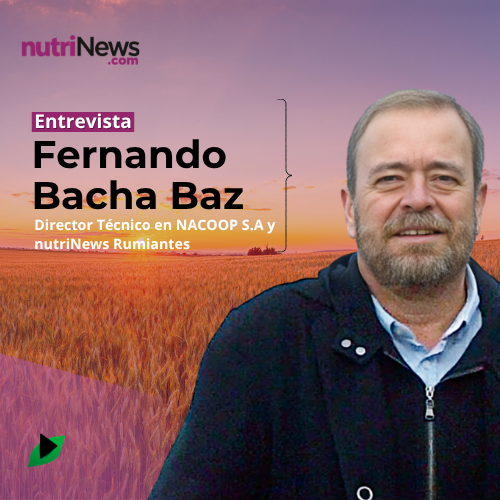 Los AVANCES en la INVESTIGACIÓN de NUEVAS MATERIAS PRIMAS con Fernando Bacha