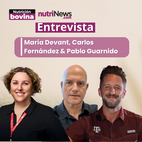 Avances en modelos dinámicos, ¿podemos predecir más y mejor?