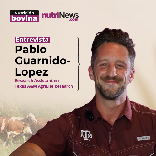 Bovino de cebo: ¿siguen funcionando los MODELOS CLÁSICOS?, con Pablo Guarnido López
