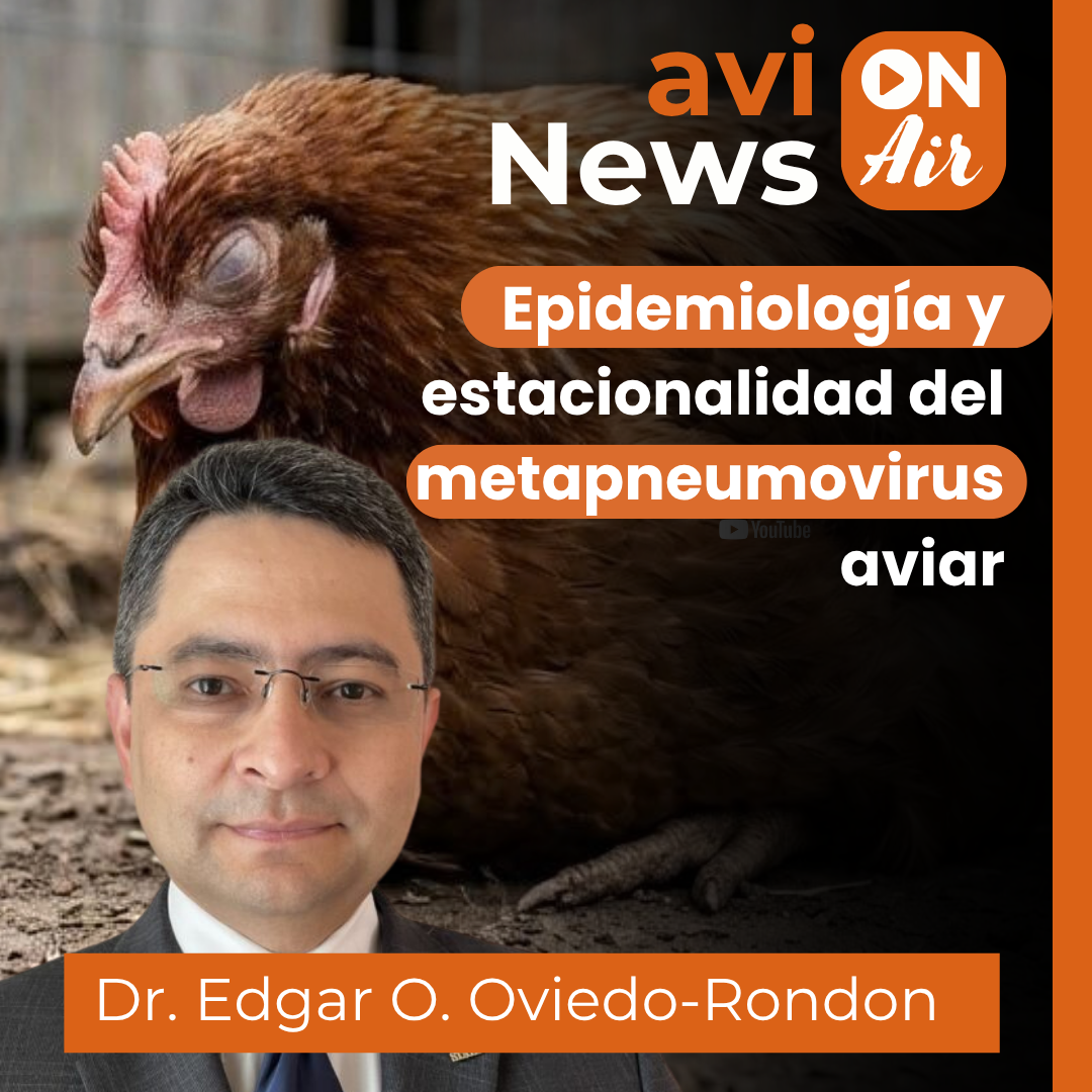 Epidemiología y estacionalidad del metapneumovirus aviar | Entrevista con Edgar Oviedo