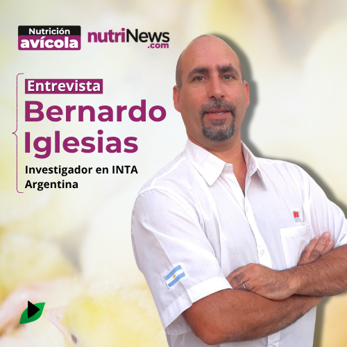 ARVEJA para la ALIMENTACIÓN de POLLOS y efecto del desactivado, con Bernardo Iglesias