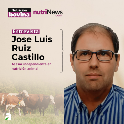 Trabajar con GRUPOS NUTRICIONALES, con Jose Luis Ruiz Castillo